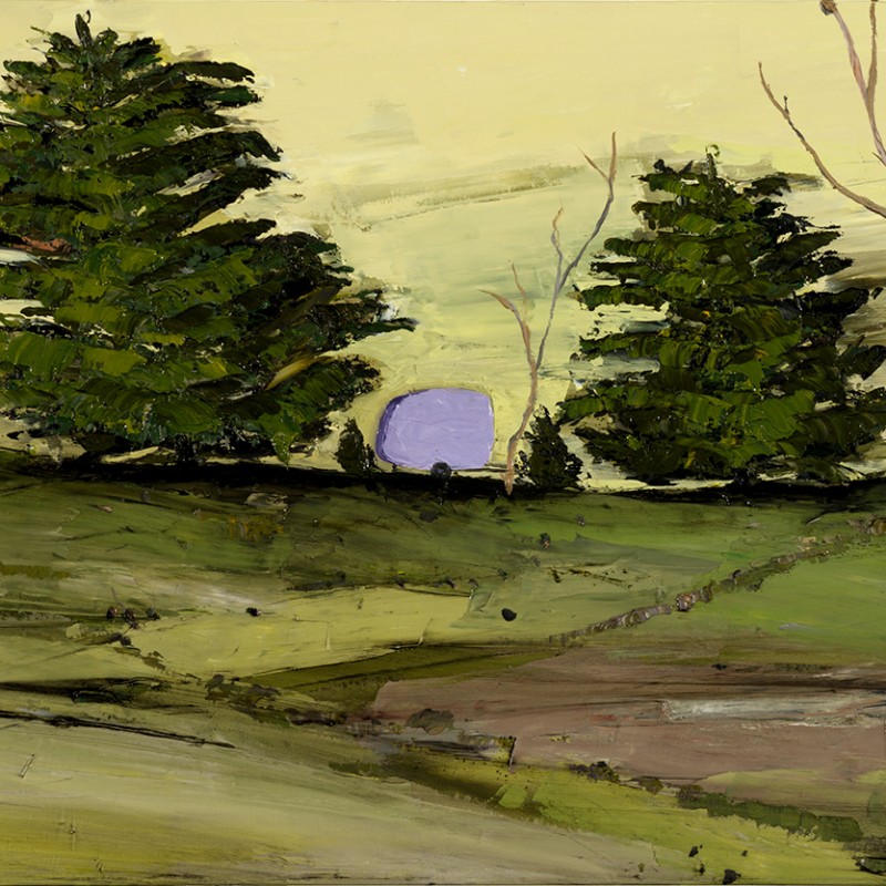 Amanda Penrose Hart