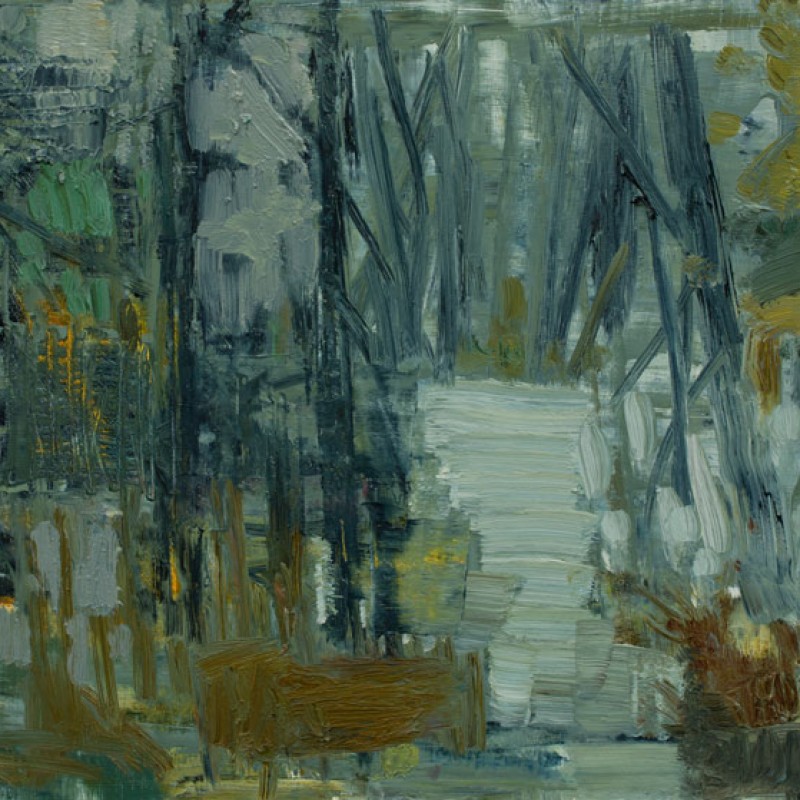 Forest Path