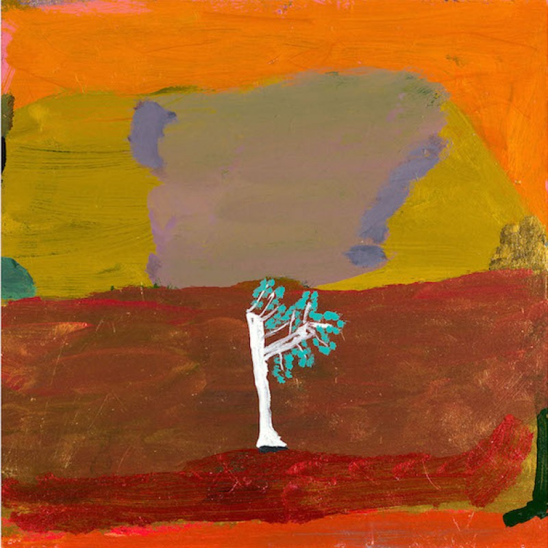 Kapok Tree & Cliff, Kimberley