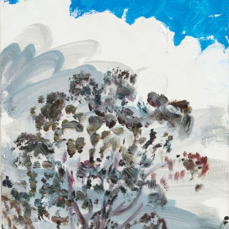 Cumulus Torokina II