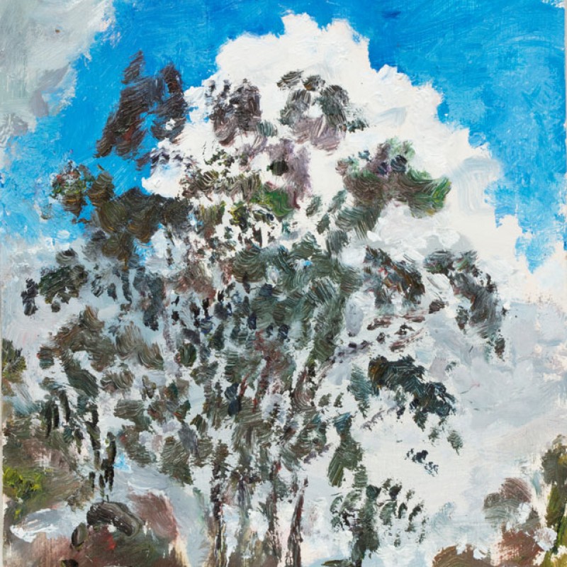 Cumulus Torokina I