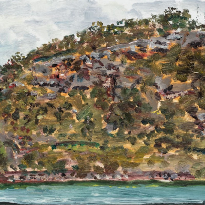 Muogamarra cliffs, Hawkesbury River III