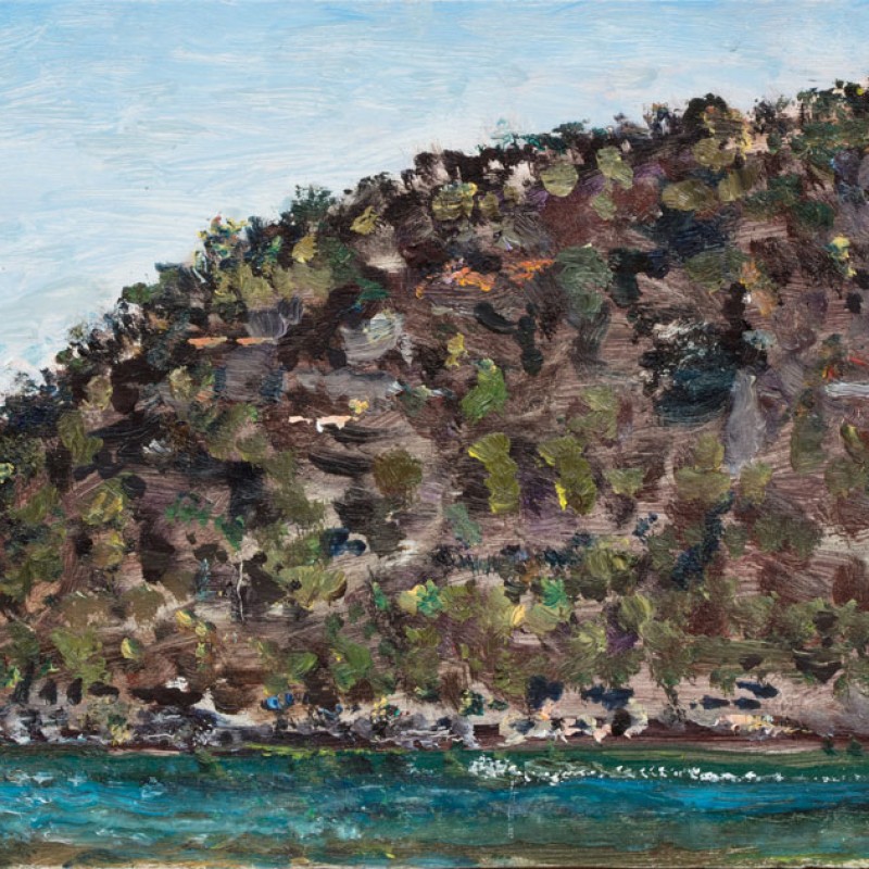 Muogamarra cliffs, Hawkesbury River IV