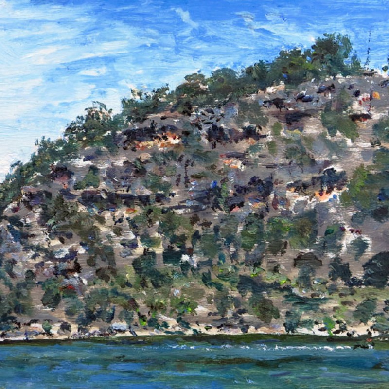 Muogamarra cliffs, Hawkesbury River V