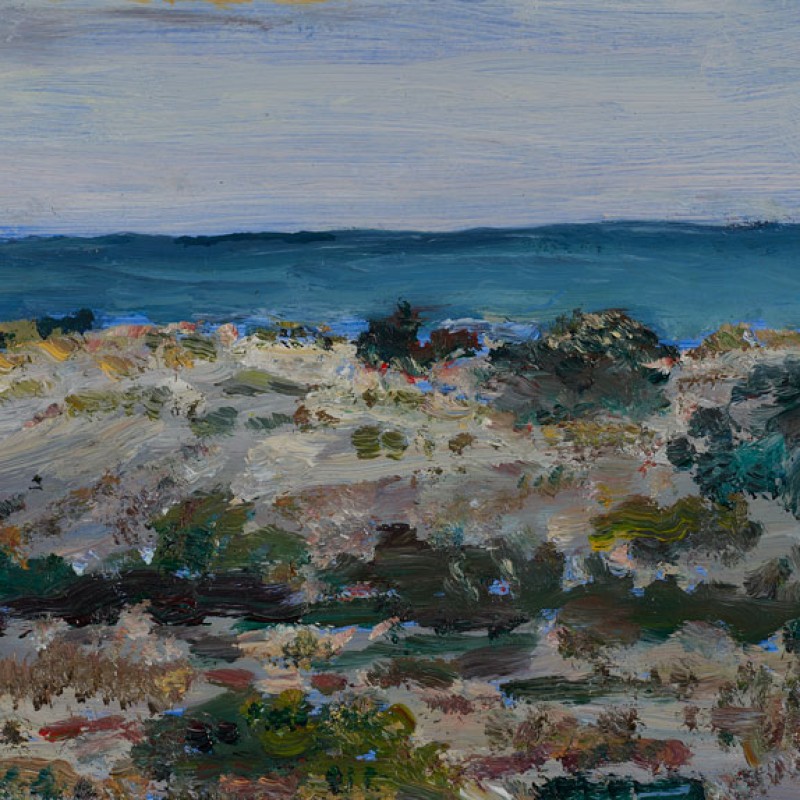 Afternoon dunes, West Beach