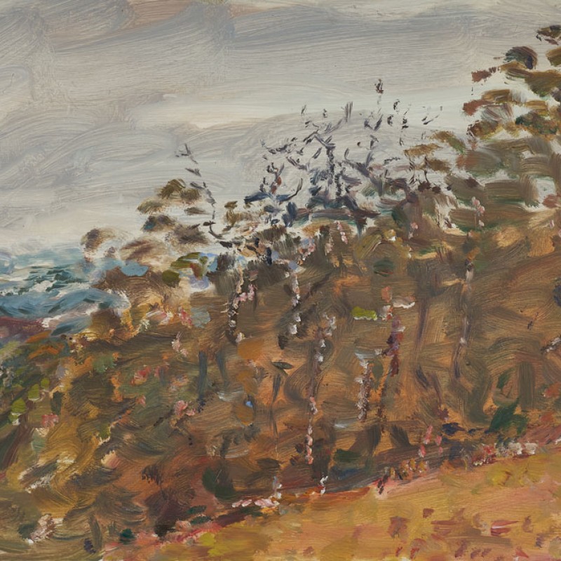 Sprigg Road I