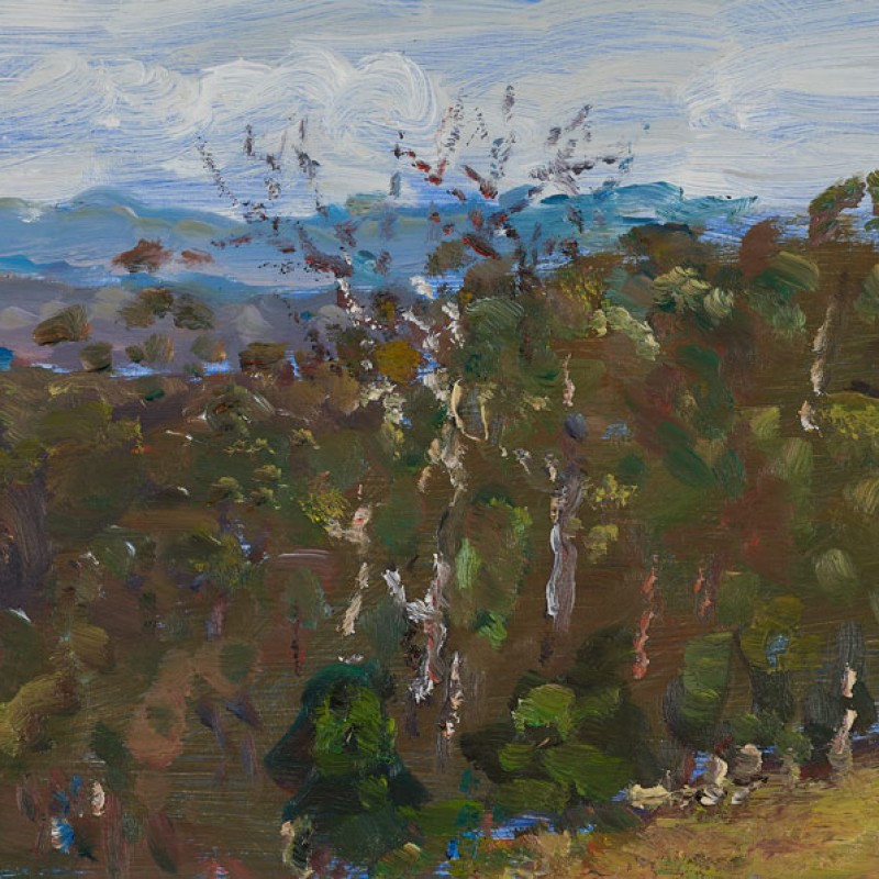 Sprigg Road VII