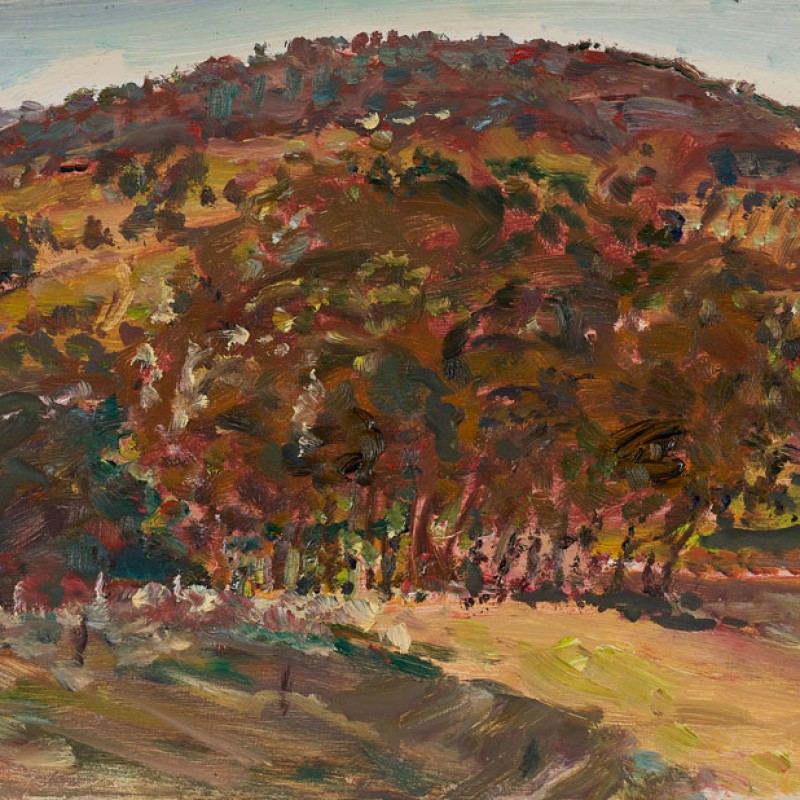 Sprigg Road VIII