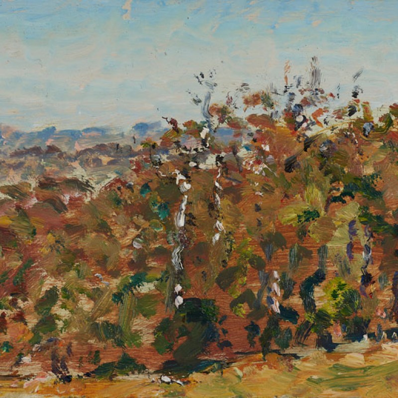 Sprigg Road IV