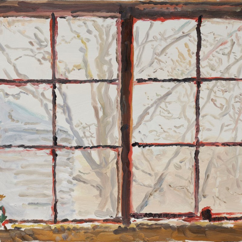 Through the garage windows, Mount Lofty II