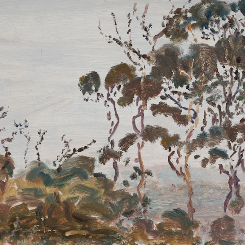 Treetops, Mount Lofty I