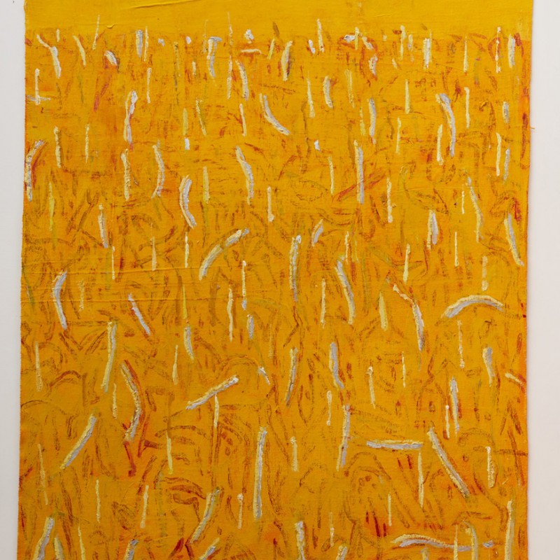 Outback in yellow (vertical)