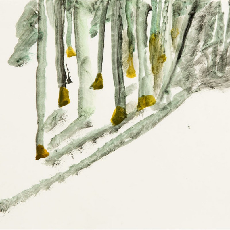 Forests Scotland series 1
