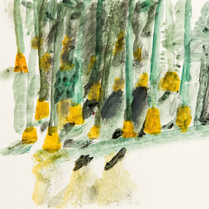 Forests Scotland series 2