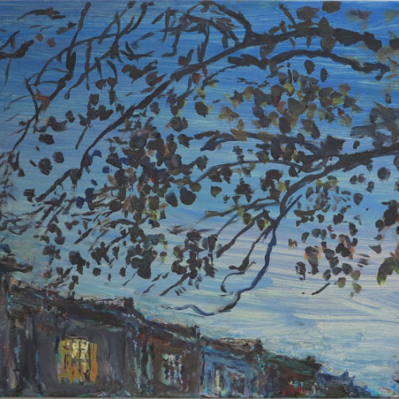 Womerah Lane II