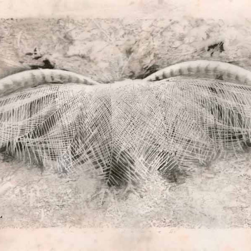 ghost dance II