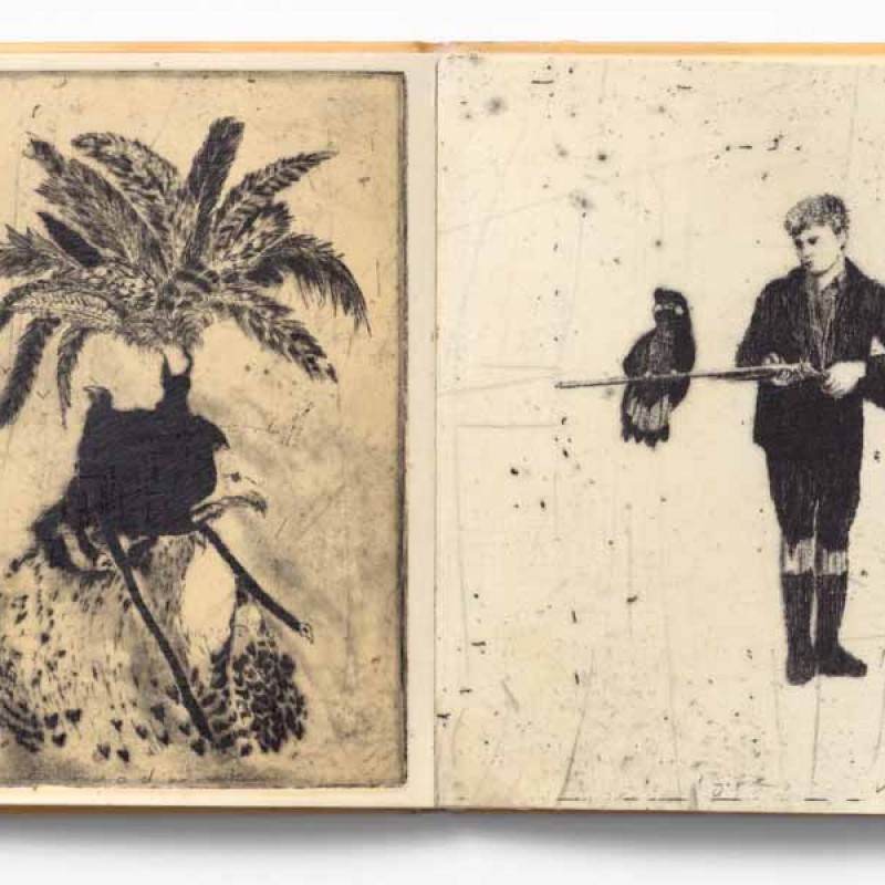hoodwinks and lyres, Vol VI