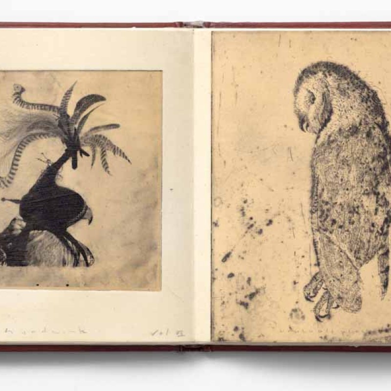 hoodwinks and lyres, Vol VII,