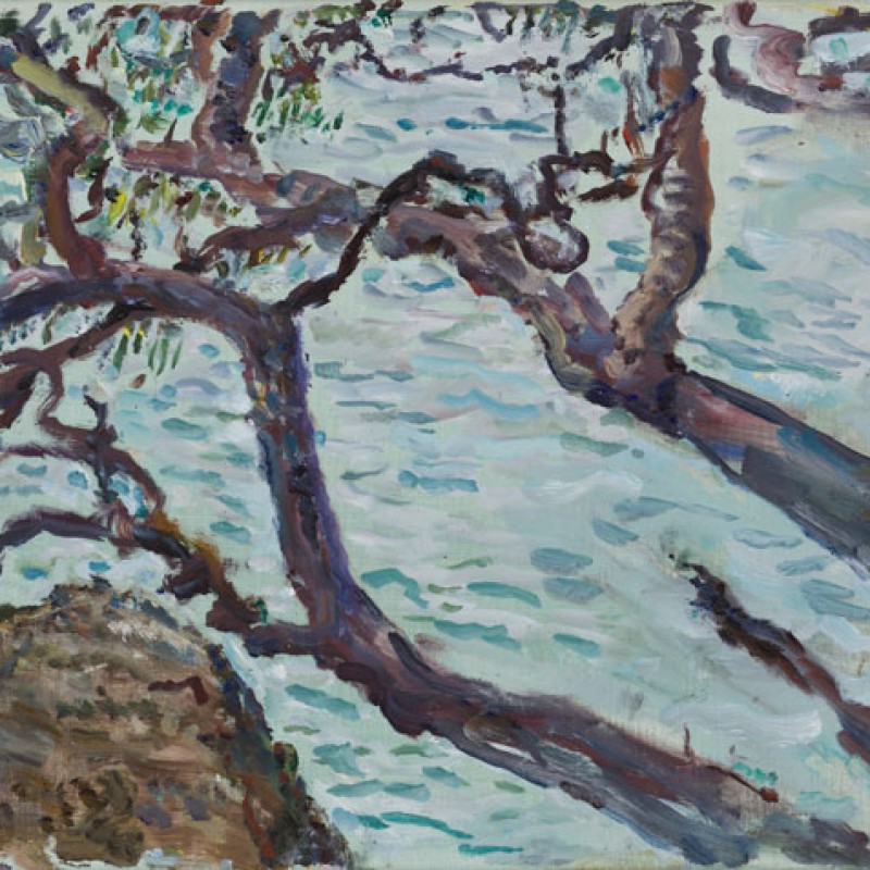 Overhanging branches, Chowder Head I