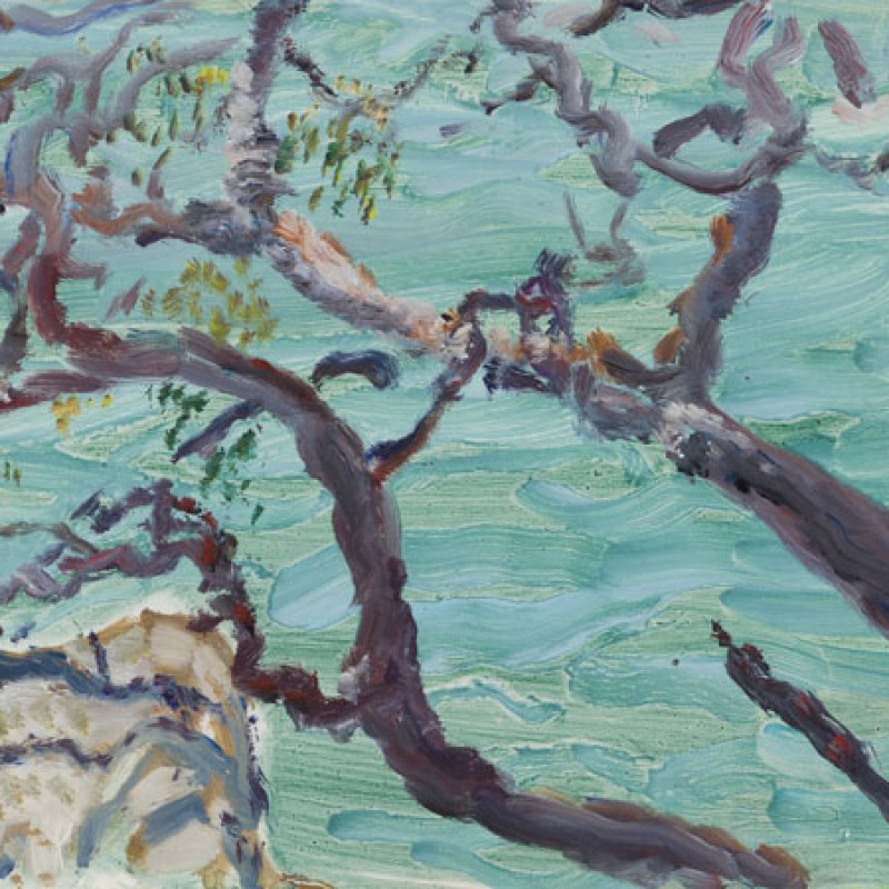 Overhanging branches, Chowder Head II