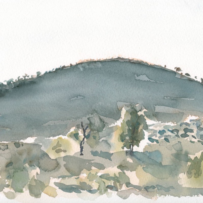 Afternoon hillside, Oratunga