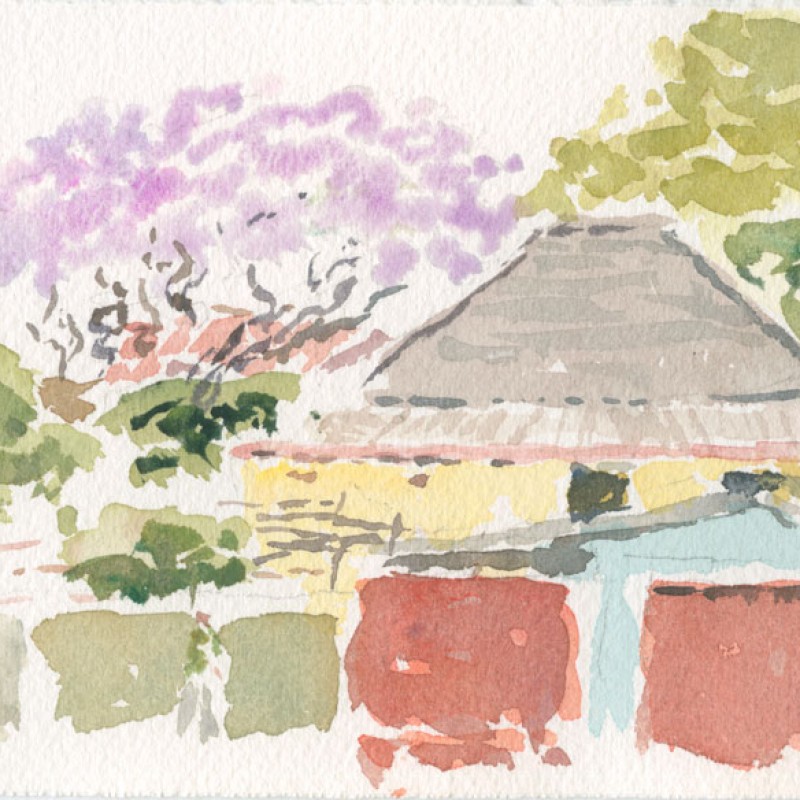 Jacaranda, behind Greenbank Road II