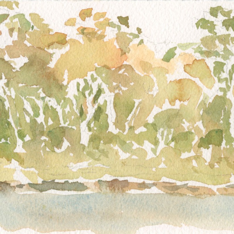 Morning at the dam, Torokina