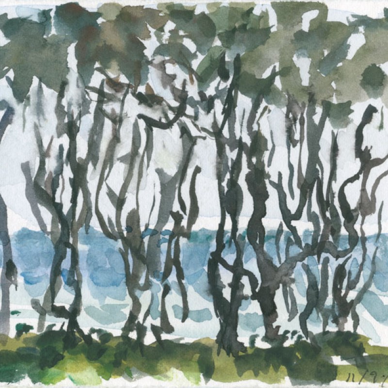 Through the trees, Kingscliff