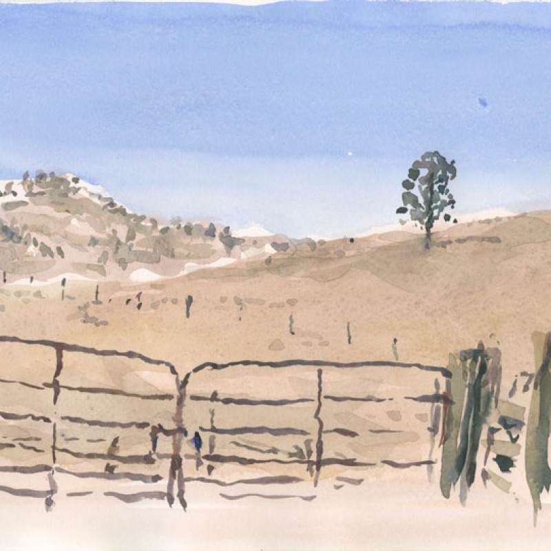 Paddock gate at noon, Oratunga