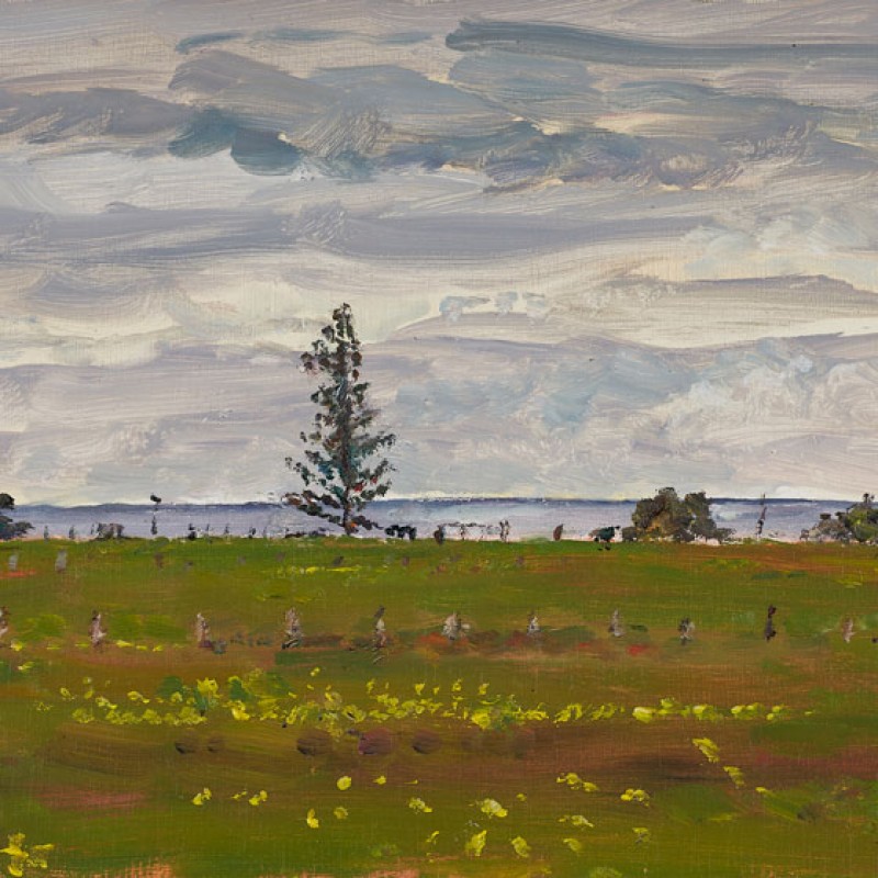 Paddock near the sea, Middleton