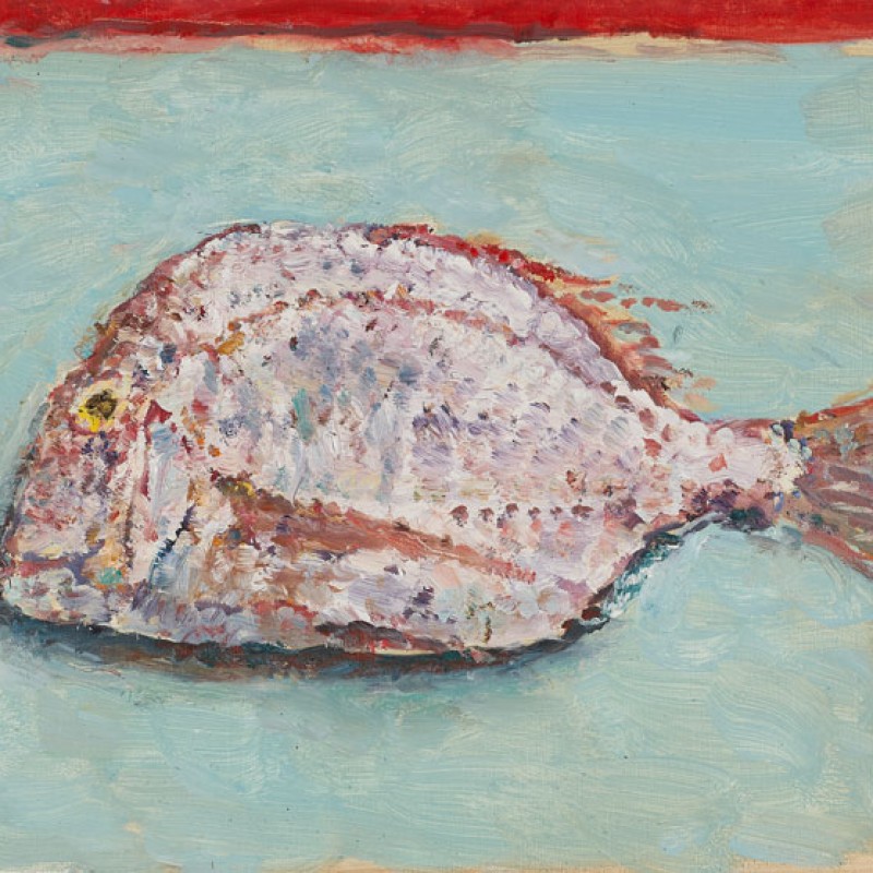 Snapper