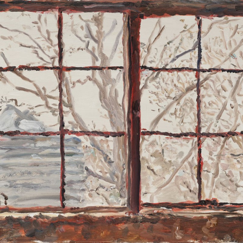 Through the garage windows, Mount Lofty I