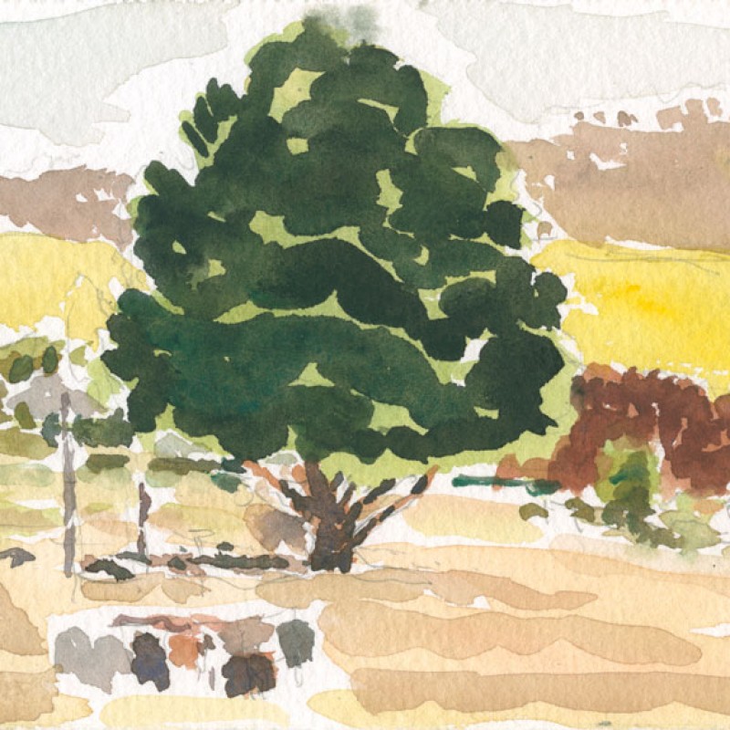 Autumn Farm, Piccadilly Road II