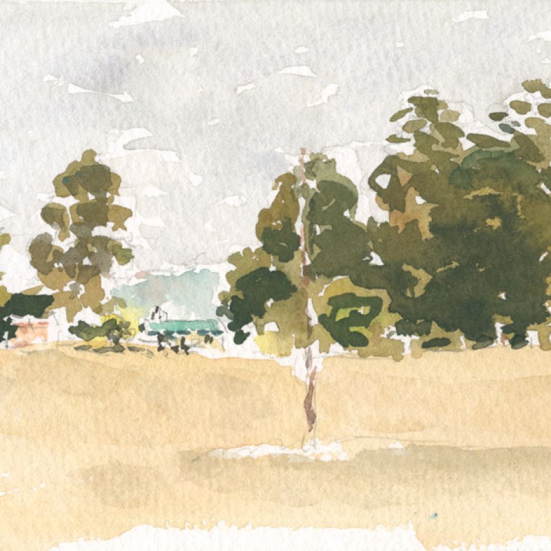 Dry paddock, Piccadilly Road