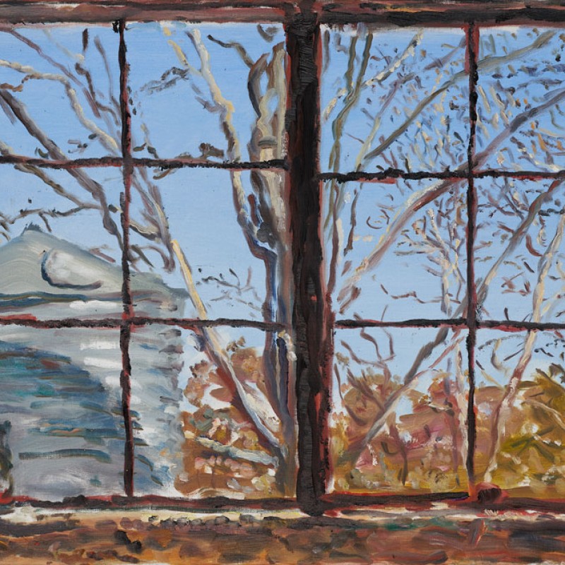 Through the garage windows, Mount Lofty III