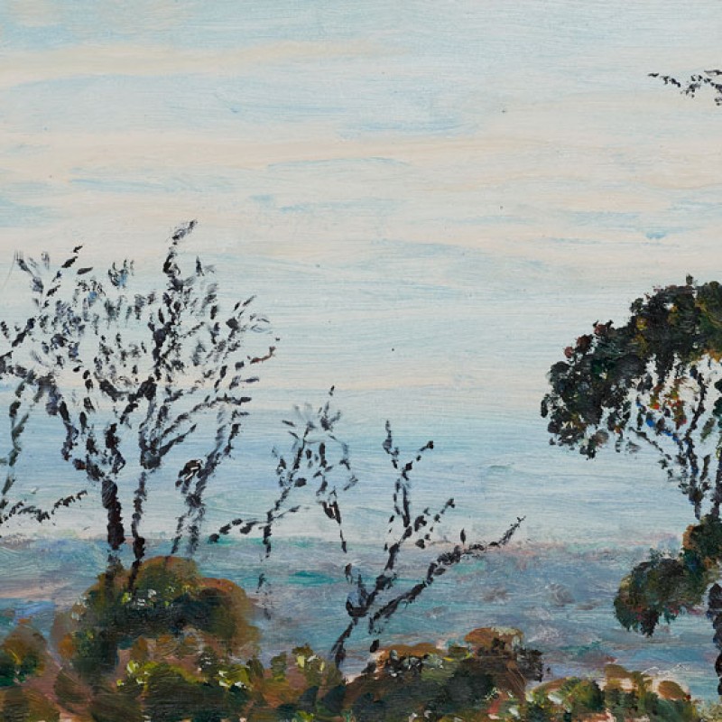Treetops, Mount Lofty IV
