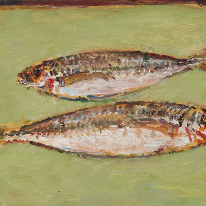 Two Yellowtail