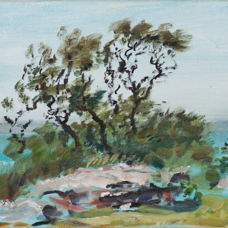 Windy afternoon, Nielsen Park
