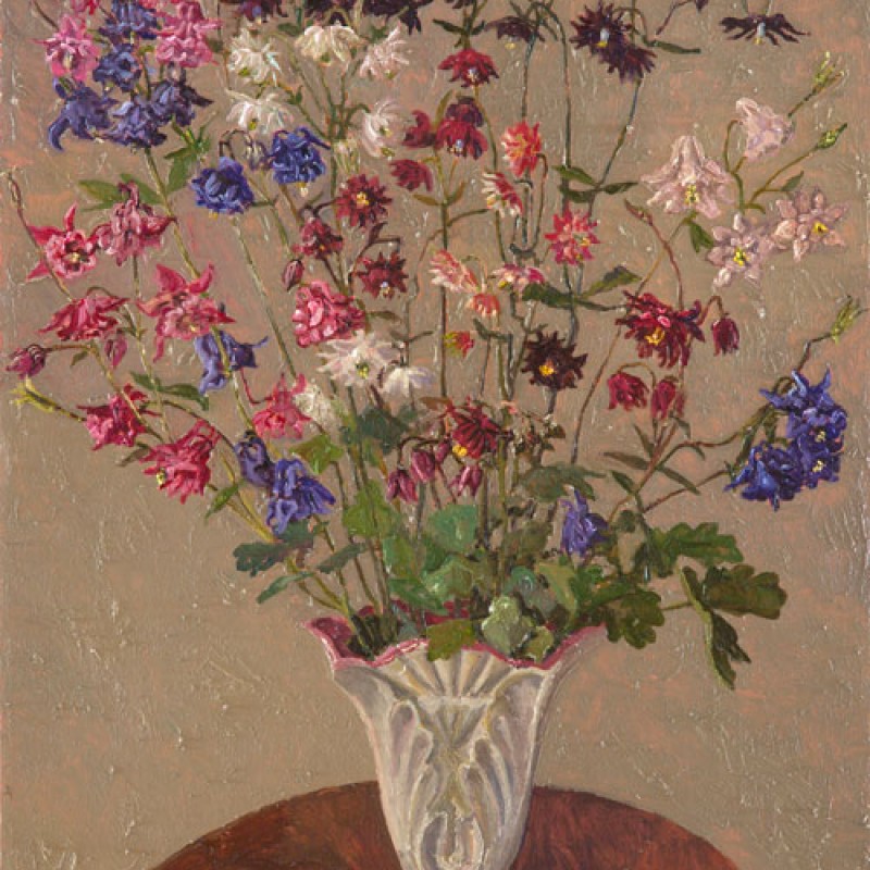 Aquilegia
