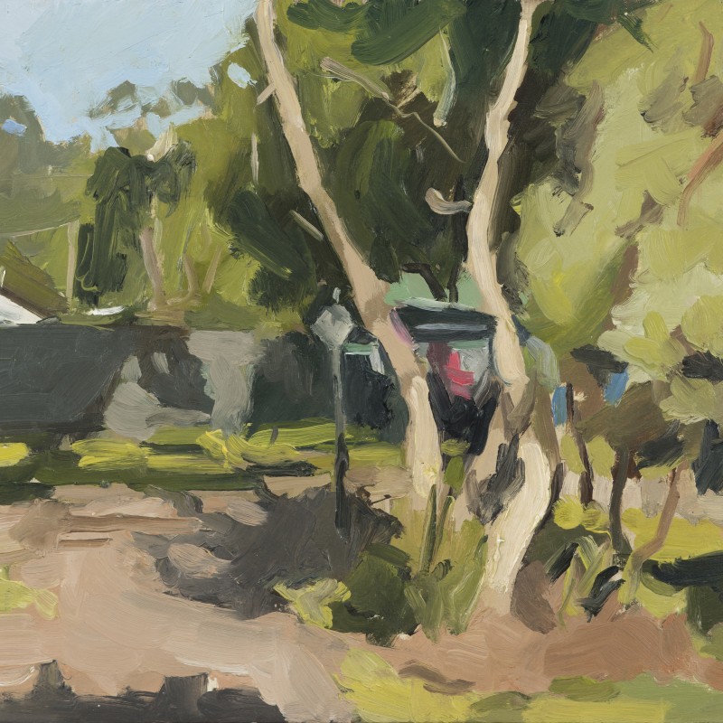 Back yard