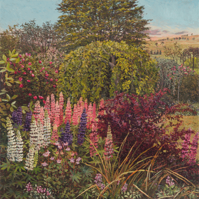 Lupins, Bibbenluke 1