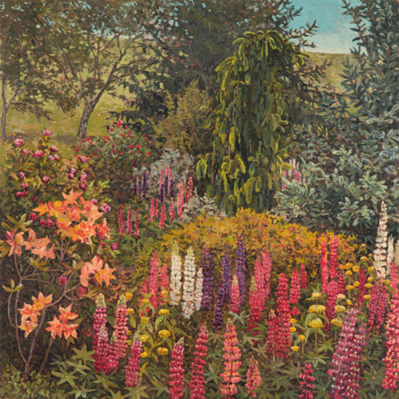 Lupins, Bibbenluke 2