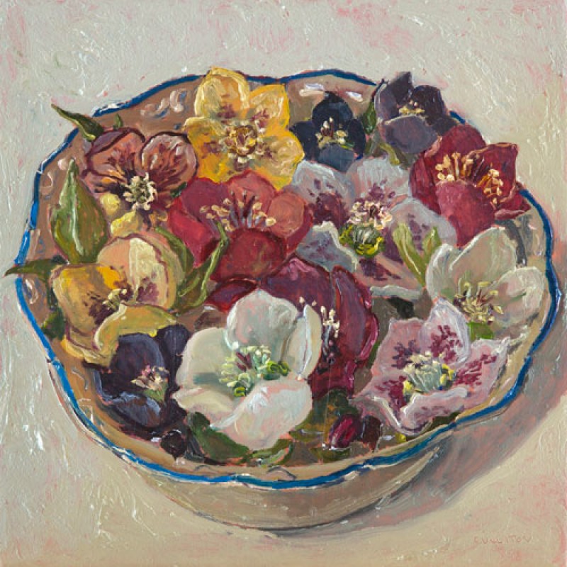 Hellebores, floating