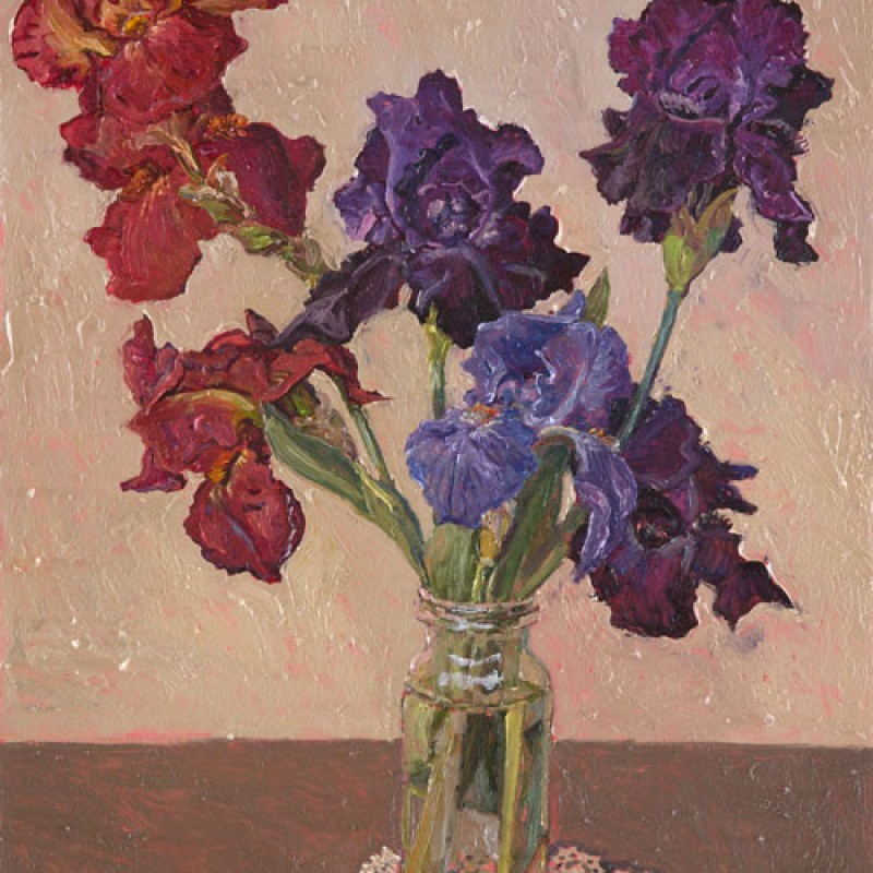 Bearded iris