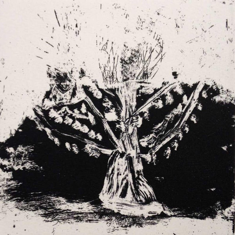Ghost of a Tree