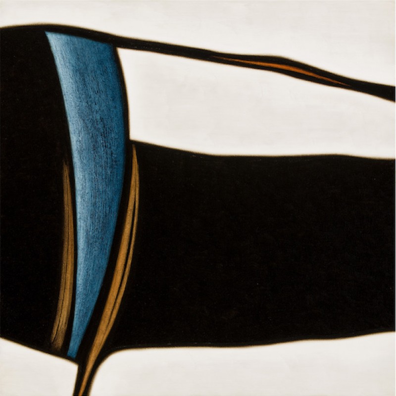 Alluvial Forms 5