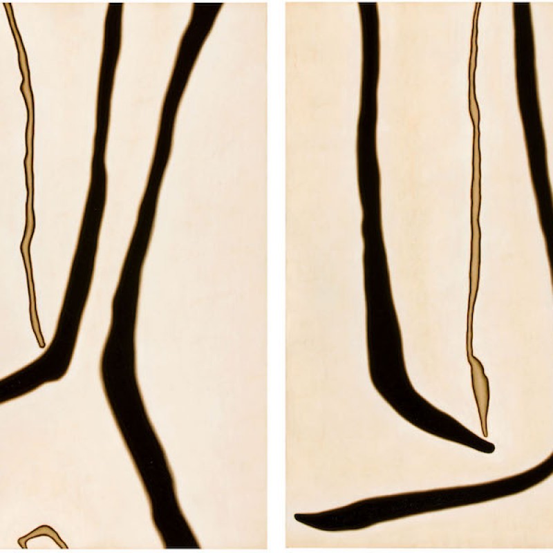 Alluvial Forms, Sway