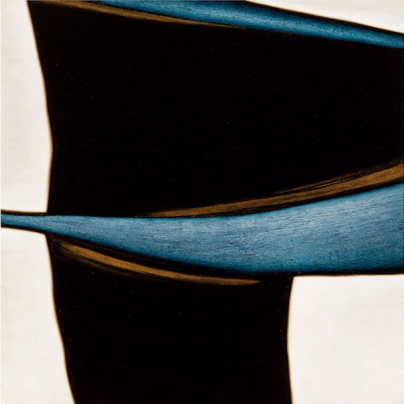 Alluvial forms 3
