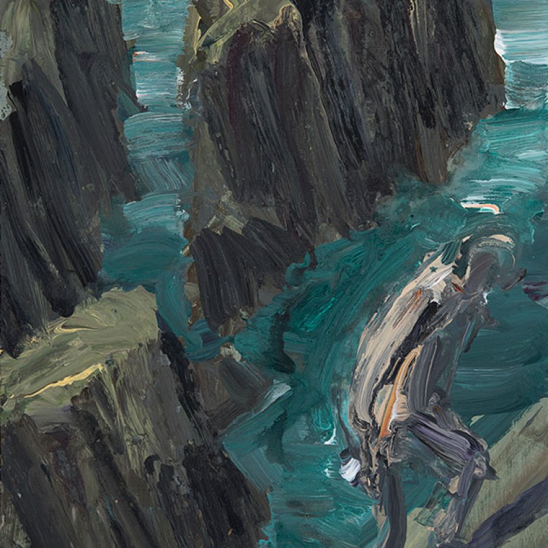Belle Ile climbing study