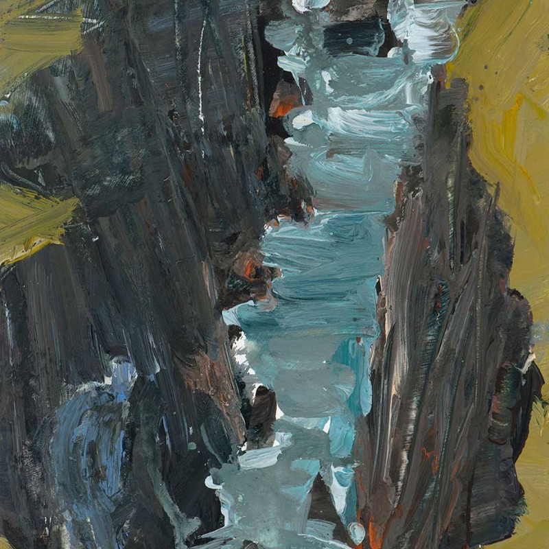 Look down study Belle Ile